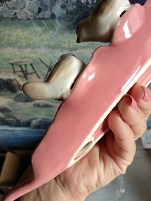 Фотография покупателя товара Блюдо керамическое «Птички на листочке», 21×8×5 см, цвет розовый - Фото 6