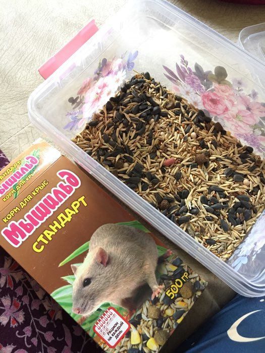 Фотография покупателя товара Зерновой корм «Мышильд стандарт» для декоративных крыс, 500 г, коробка - Фото 3