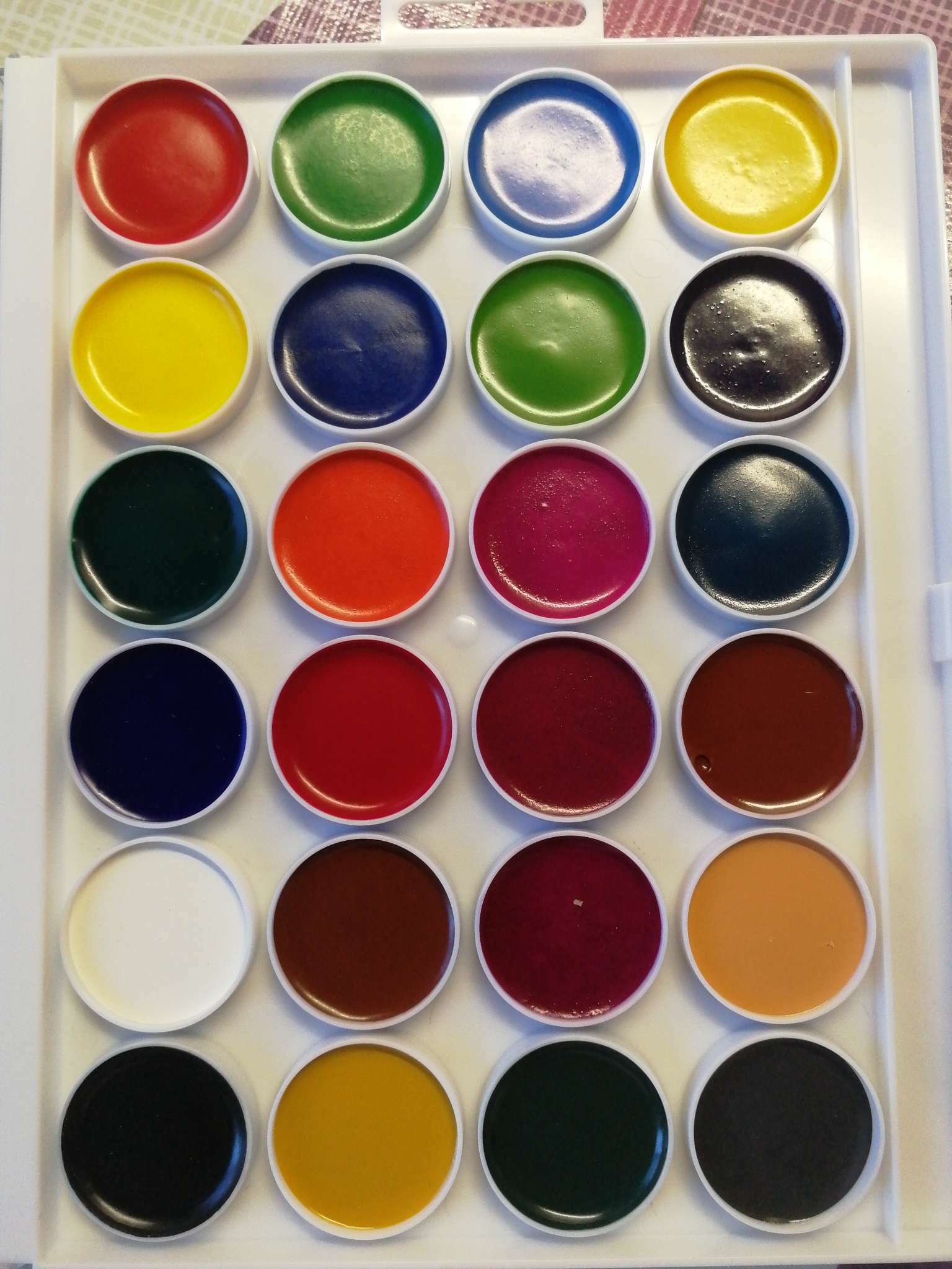 Фотография покупателя товара Акварель 24 цвета Calligrata TOP, пластик, европодвес - Фото 1