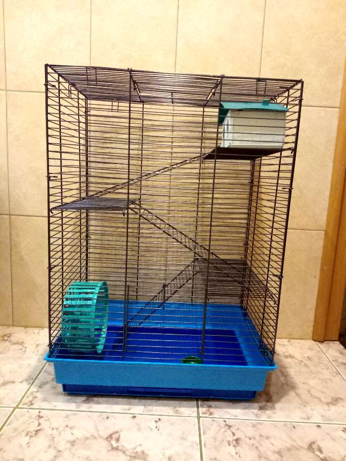 Фотография покупателя товара Клетка для грызунов "Пижон" №5, с 3 этажами, укомплектованная, 41 х 30 х 58 см, бирюзовая