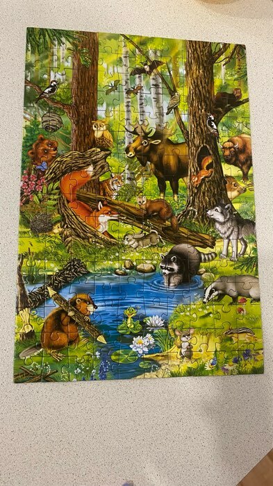 Фотография покупателя товара Пазл детский «Лесные жители», 160 элементов - Фото 4