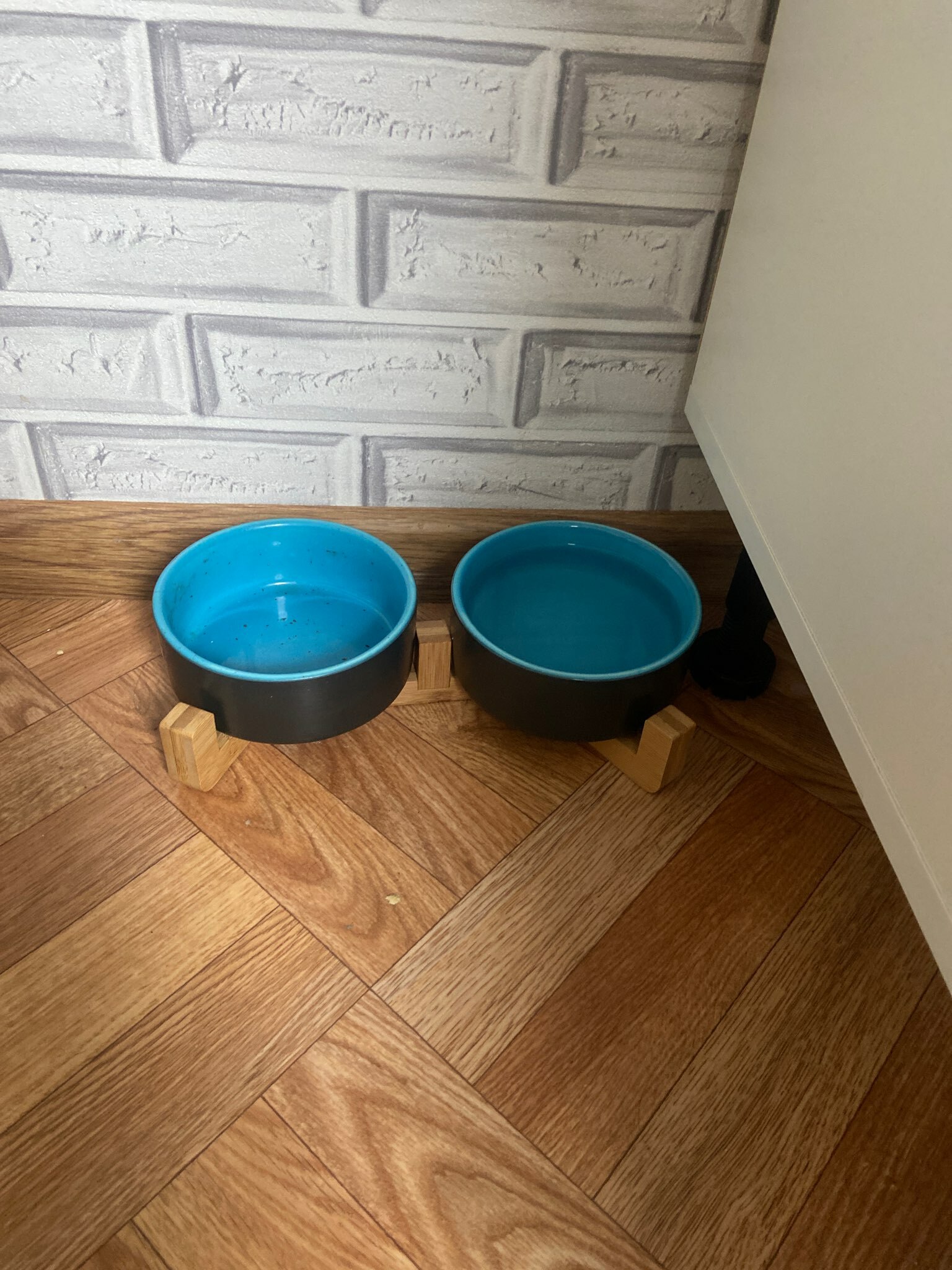 Фотография покупателя товара Миски керамические двойные на подставке 2 х 450 мл  28,5 х 15,5 х 7 см, серая/голубая