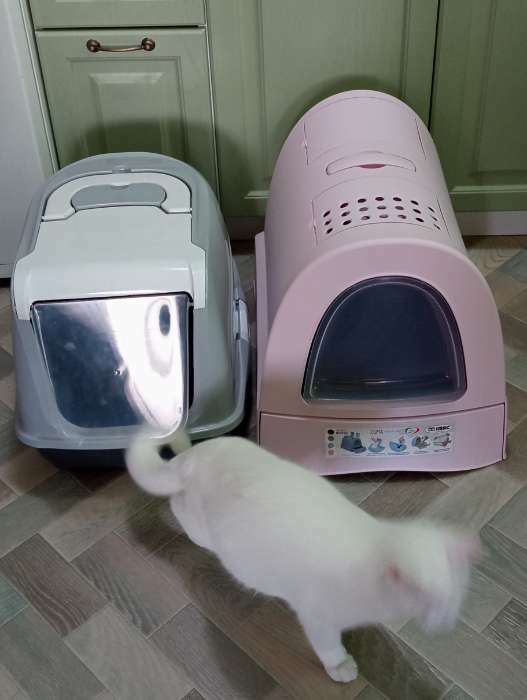 Фотография покупателя товара Туалет закрытый Imac Zuma для кошек, 40 х 56 х 42,5 см, пепельно-розовый - Фото 3