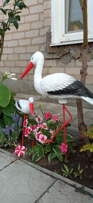 Фотография покупателя товара Садовая фигура из полистоуна «Аист», 33×20×60 см - Фото 4