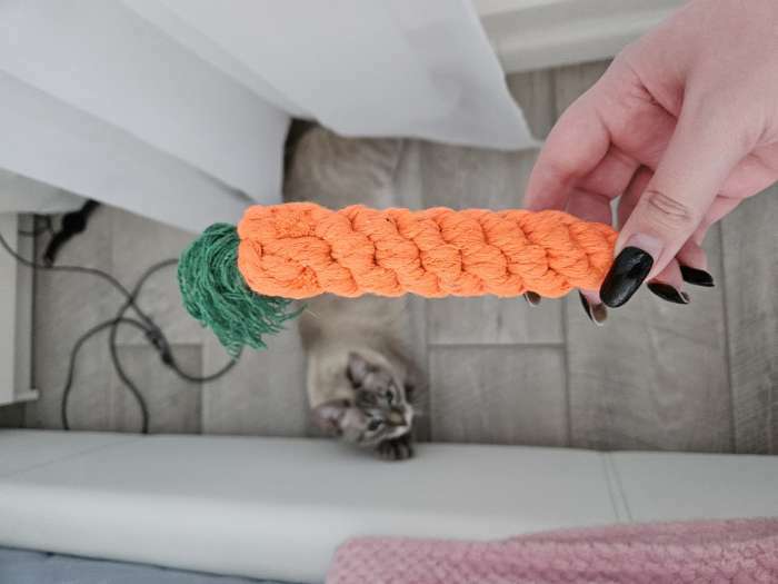 Фотография покупателя товара Игрушка канатная «Морковь», до 18 см, до 50 г, оранжевая - Фото 1