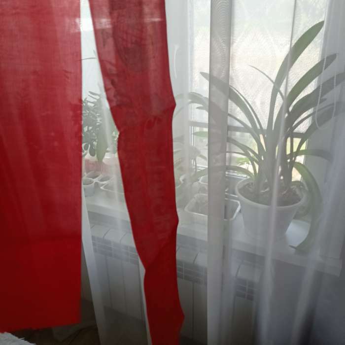 Фотография покупателя товара Лента "Выпускник начальной школы", шёлк красный с годом фольга - Фото 2