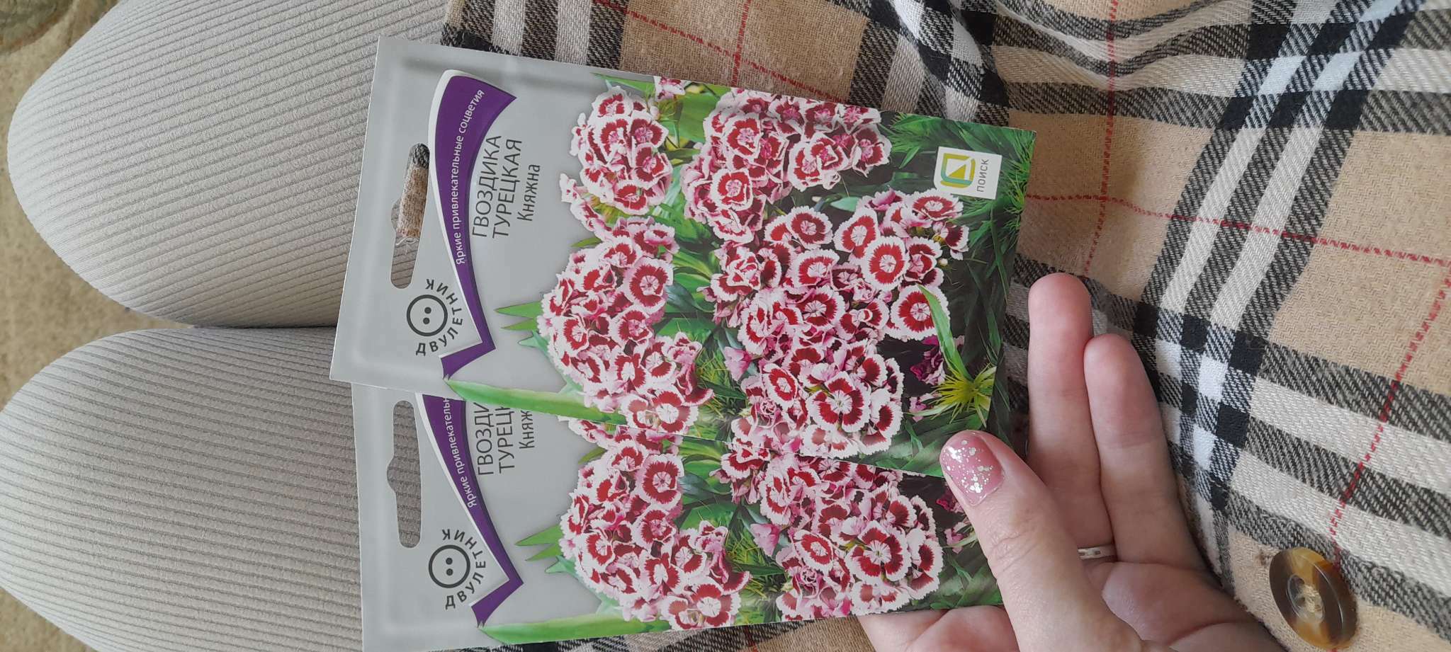 Фотография покупателя товара Семена цветов Гвоздика "Турецкая Княжна", 0,3гр. - Фото 1