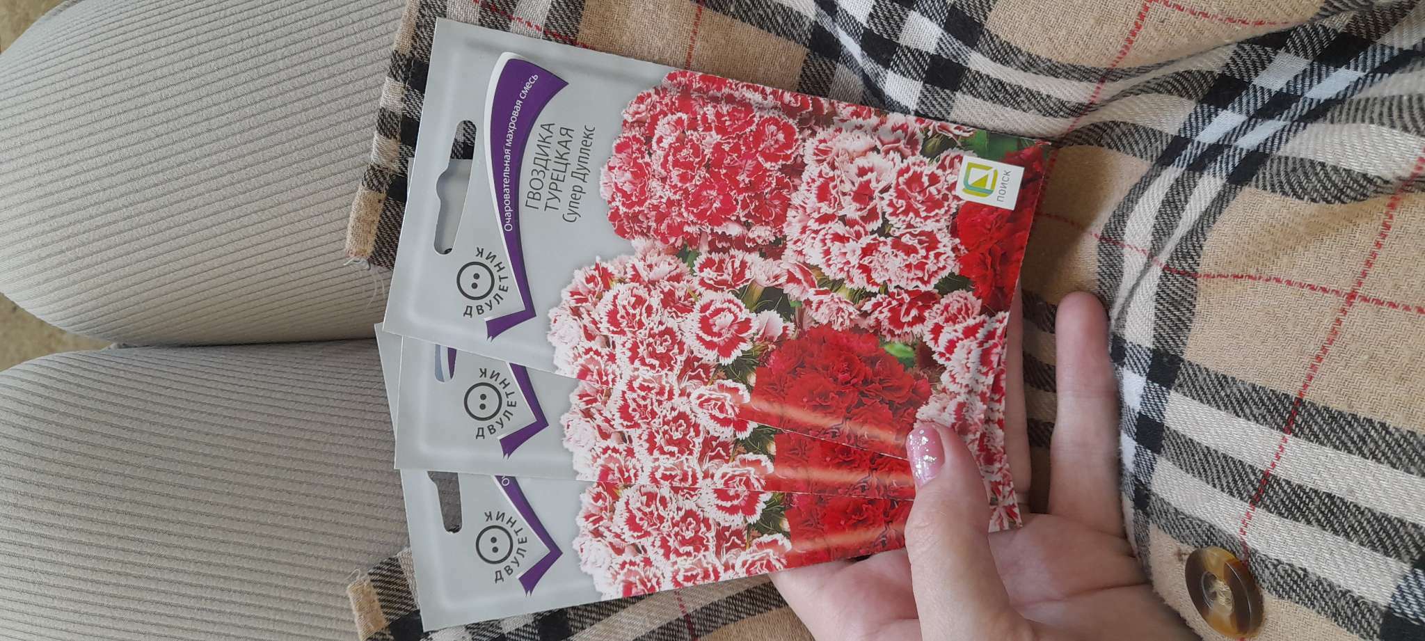 Фотография покупателя товара Семена цветов Гвоздика Турецкая "Супер Дуплекс" 0,3 г - Фото 1