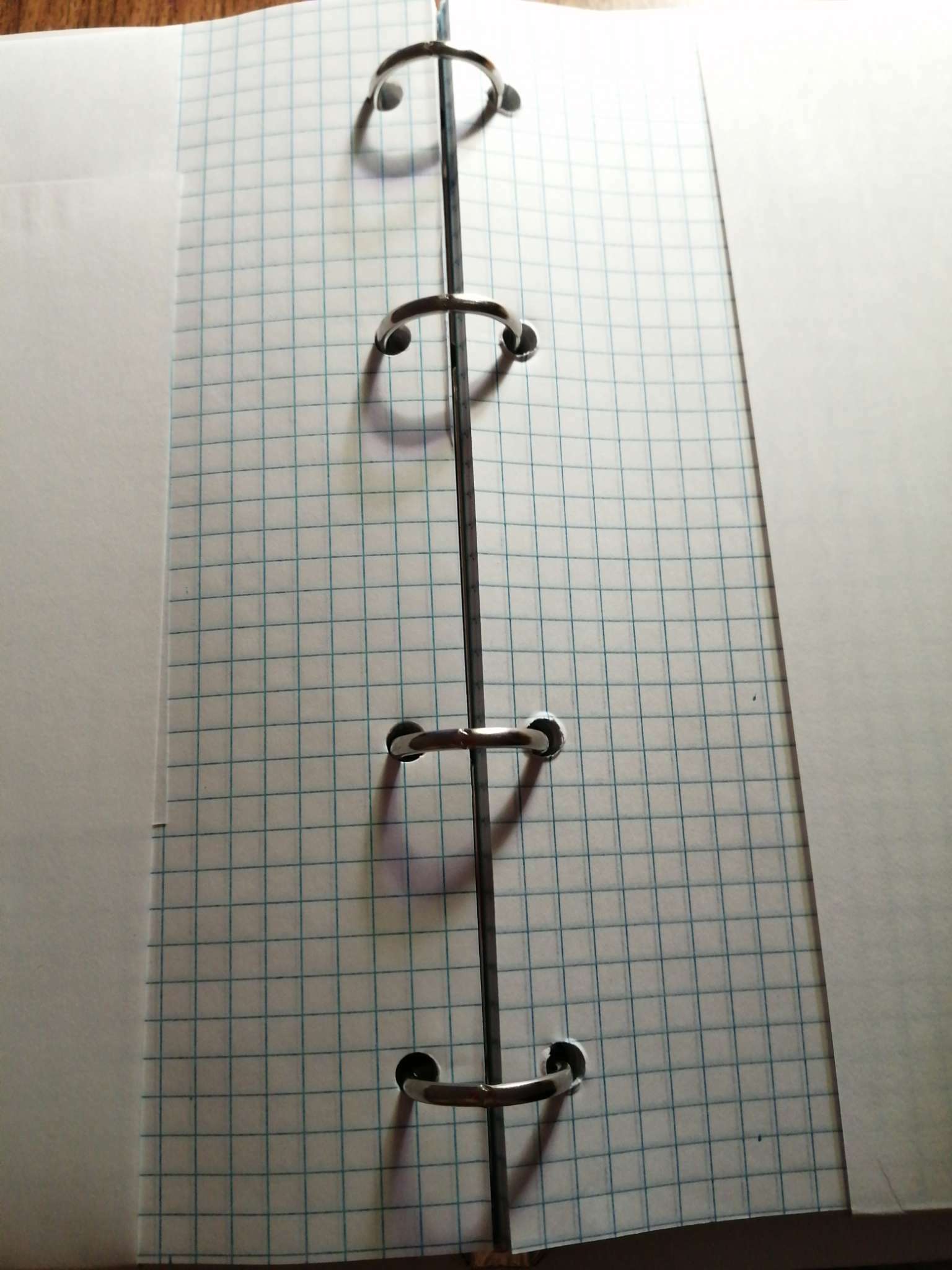 Фотография покупателя товара Тетрадь на кольцах A5 160 листов в клетку Calligrata "Авокадо на тёмном", пластиковая обложка, блок офсет - Фото 1