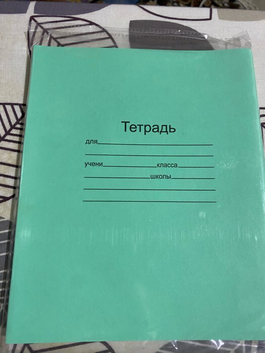 Фотография покупателя товара Набор тетрадей «Зелёная обложка» 20 штук, 24 листа в клетку, эконом, плотность 60 г/м² - Фото 2