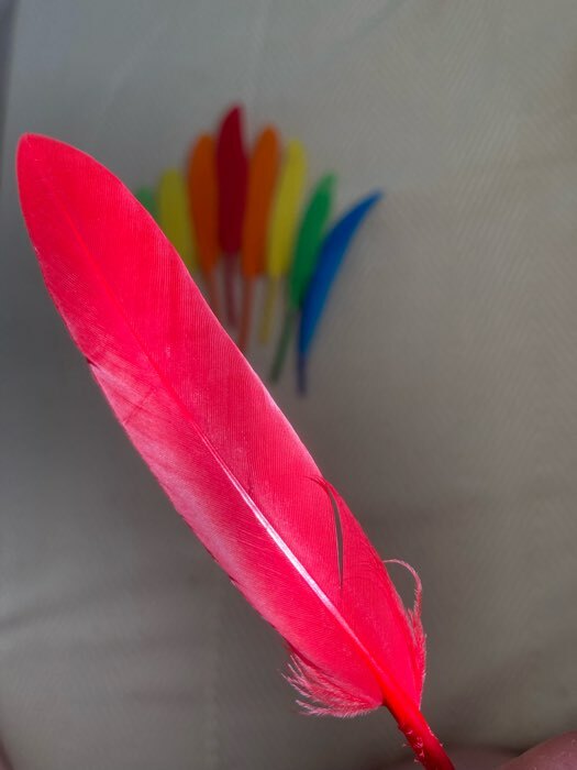 Фотография покупателя товара Набор перьев для декора 10 шт., размер 1 шт: 15 × 1,5 см, цвета МИКС - Фото 3