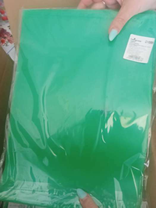 Фотография покупателя товара Папка-конверт на кнопке А4, 120 мкм, Calligrata, прозрачная, зелёная - Фото 1