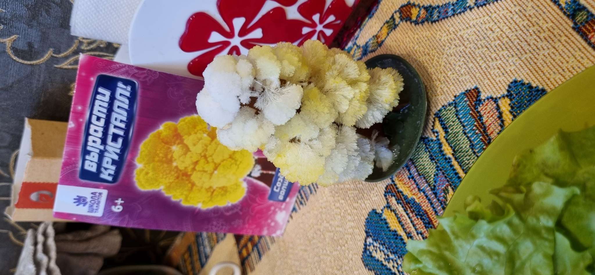 Фотография покупателя товара Набор для выращивания кристалла «Волшебное дерево» цвет жёлтый