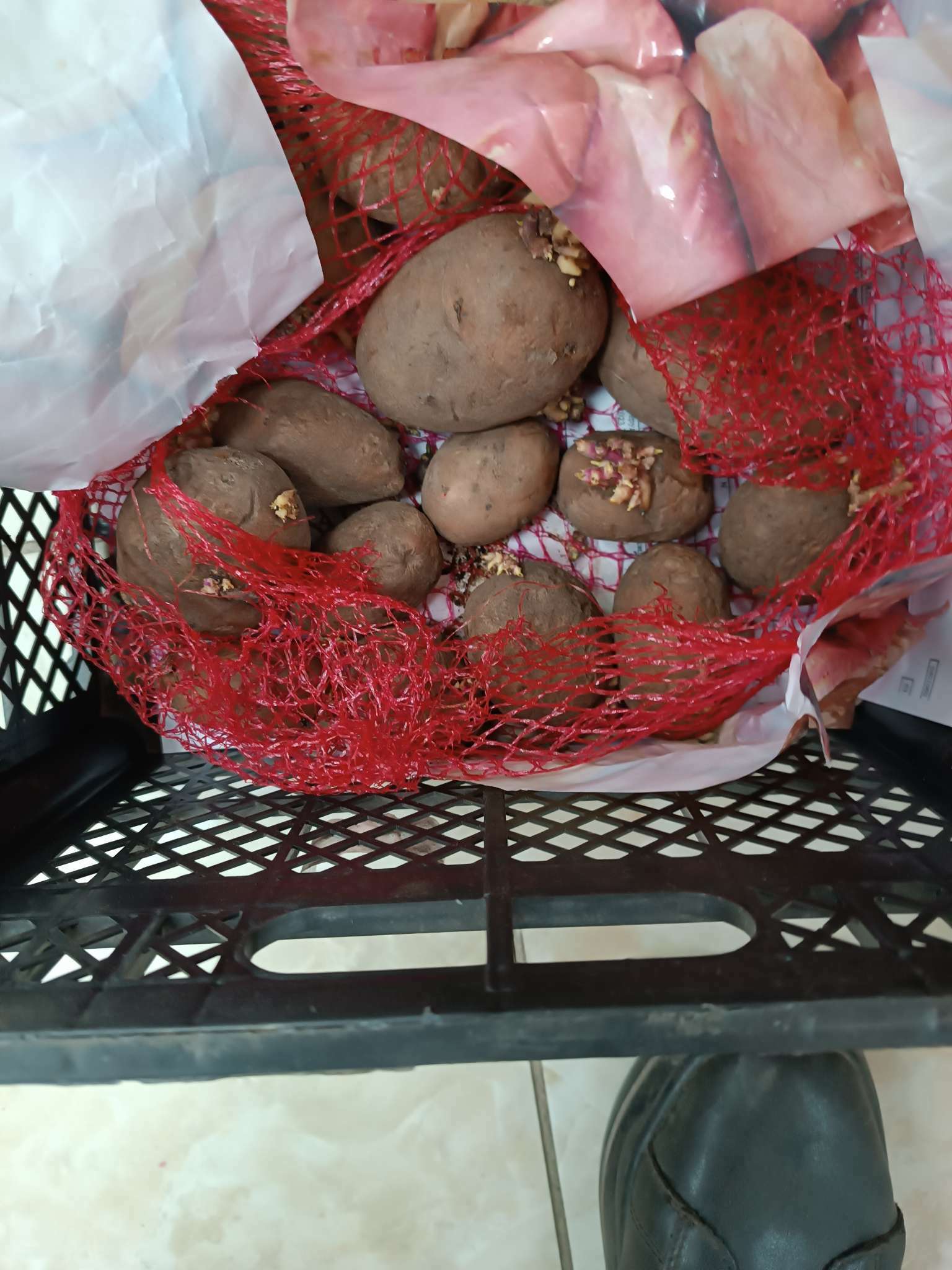 Фотография покупателя товара Семенной картофель "Фаворит" 2 кг Элита, р/р 28/55 - Фото 8