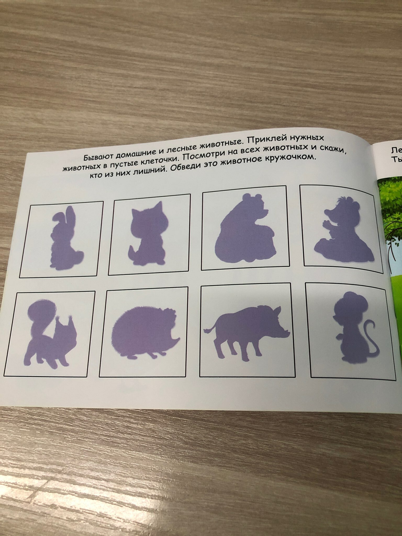 Фотография покупателя товара Наклейки детские «100 наклеек. Алфавит», 12 стр. - Фото 6