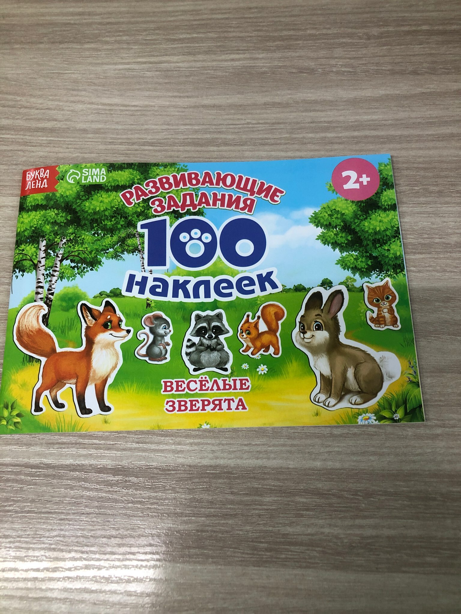 Фотография покупателя товара Наклейки детские «100 наклеек. Алфавит», 12 стр. - Фото 5