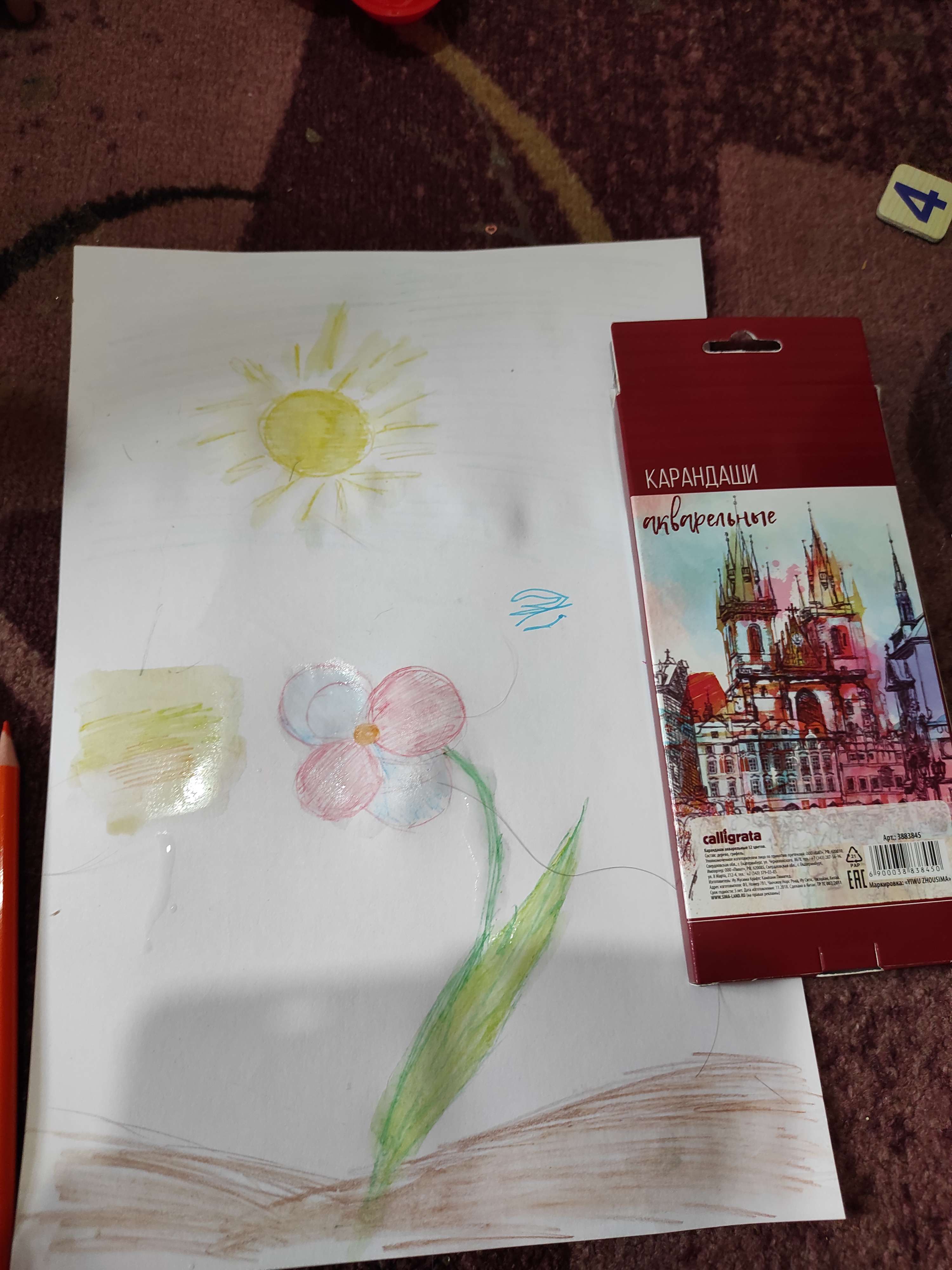 Фотография покупателя товара Карандаши цветные акварельные 12 цветов, заточенные, в картонной коробке