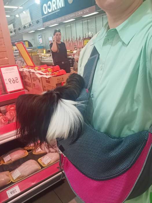 Фотография покупателя товара Сумка-переноска "Слинг" для животных, 42 х 25 см, красная - Фото 2