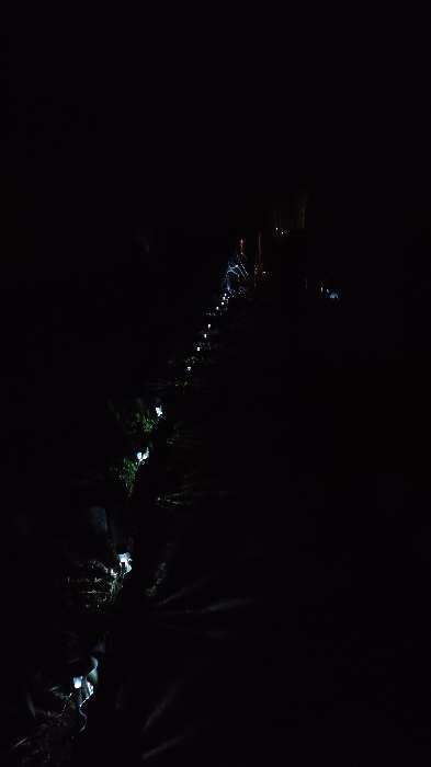 Фотография покупателя товара Садовый светильник на солнечной батарее «Трапеция», 4.5 × 30 × 4.5 см, 1 LED, свечение белое - Фото 41