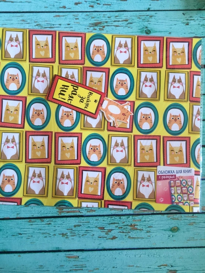 Фотография покупателя товара Обложка для книги с закладкой «Коты», 43 × 24 см - Фото 1