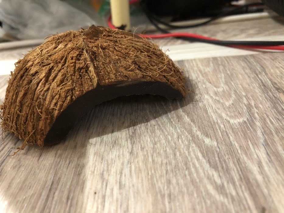 Фотография покупателя товара Скорлупа кокосовая 1/2 для рептилий и грызунов, M - Фото 1