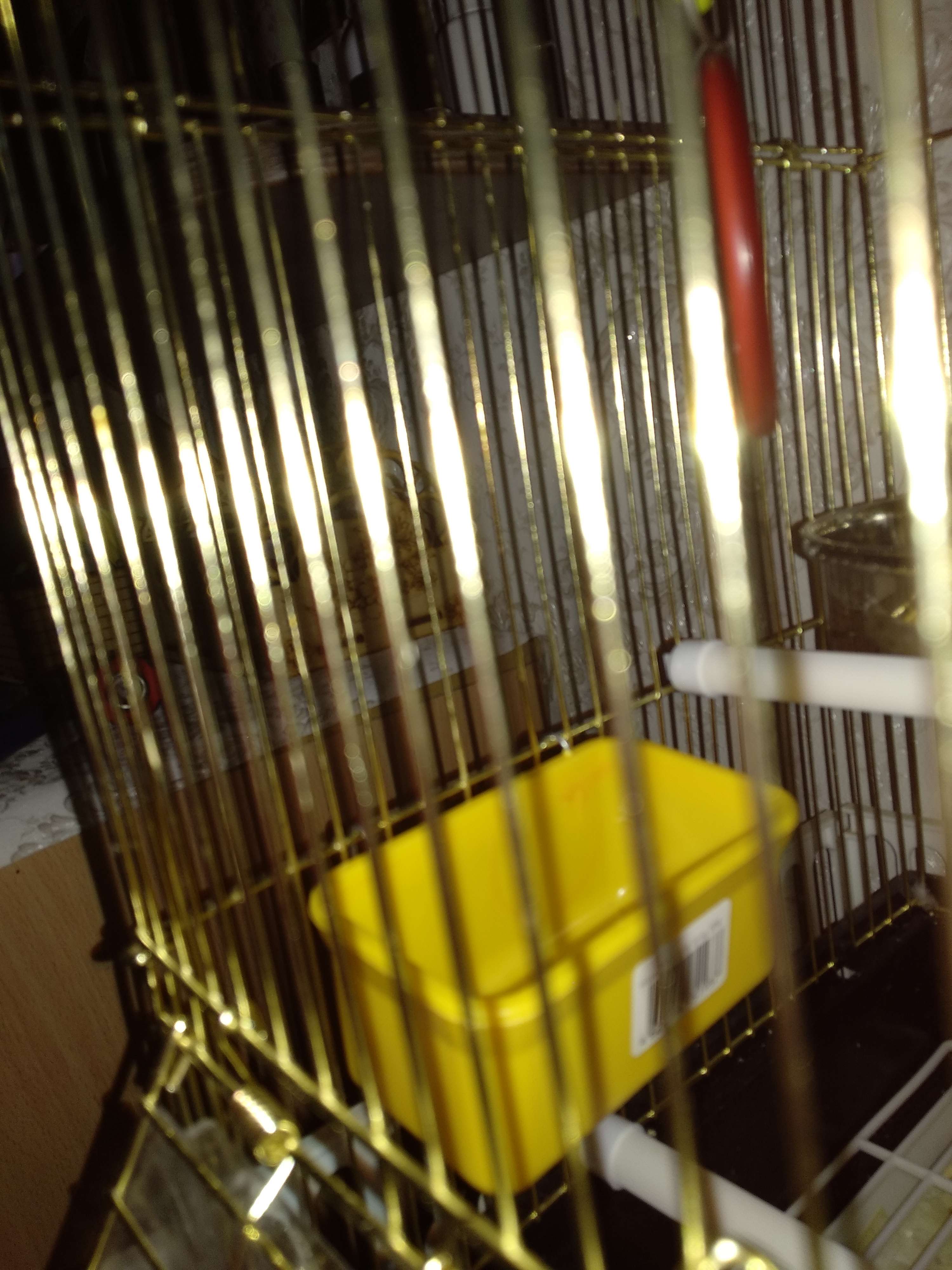 Фотография покупателя товара Кормушка для птиц, внутренняя, (металлическое крепление), 95 х 55 х 45 мм, микс цветов - Фото 3