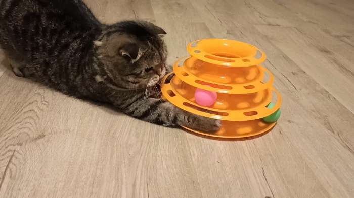 Фотография покупателя товара Игровой комплекс "Пижон" для кошек с 3 шариками, 24,5 х 24,5 х 13 см, оранжевый