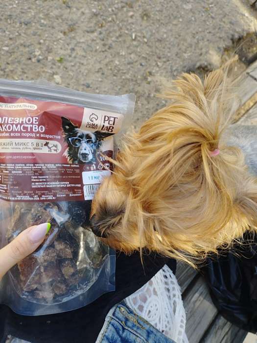 Фотография покупателя товара Лакомство для собак натуральное Pet Lab: Бычий корень, 50 г. - Фото 1