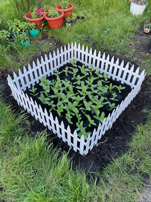 Фотография покупателя товара Ограждение декоративное, 35×210 см, 5 секций, пластик, жёлтое, GOTIKA, Greengo - Фото 4