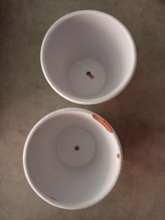 Фотография покупателя товара Горшок для цветов «Трапеция», 8×8×8 см - Фото 32