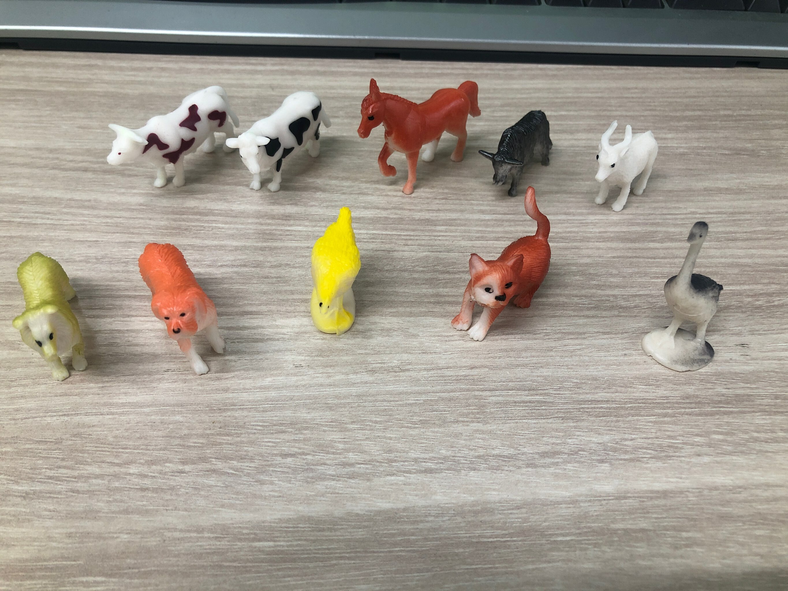Фотография покупателя товара Развивающий набор фигурок для детей «Домашние животные» с карточками, по методике Домана - Фото 1