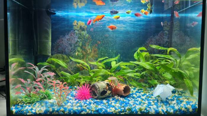 Фотография покупателя товара Декоративный анемон для аквариума, 8 х 5 см, розовый - Фото 3