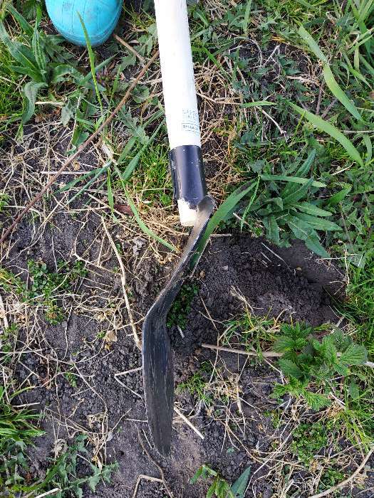 Фотография покупателя товара Лопата штыковая, острая, L = 153 см, деревянный черенок 1 сорт