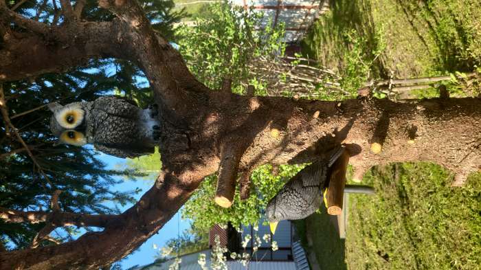 Фотография покупателя товара Подвесной декор "Дрозд" 21,5х9,5х17см - Фото 1