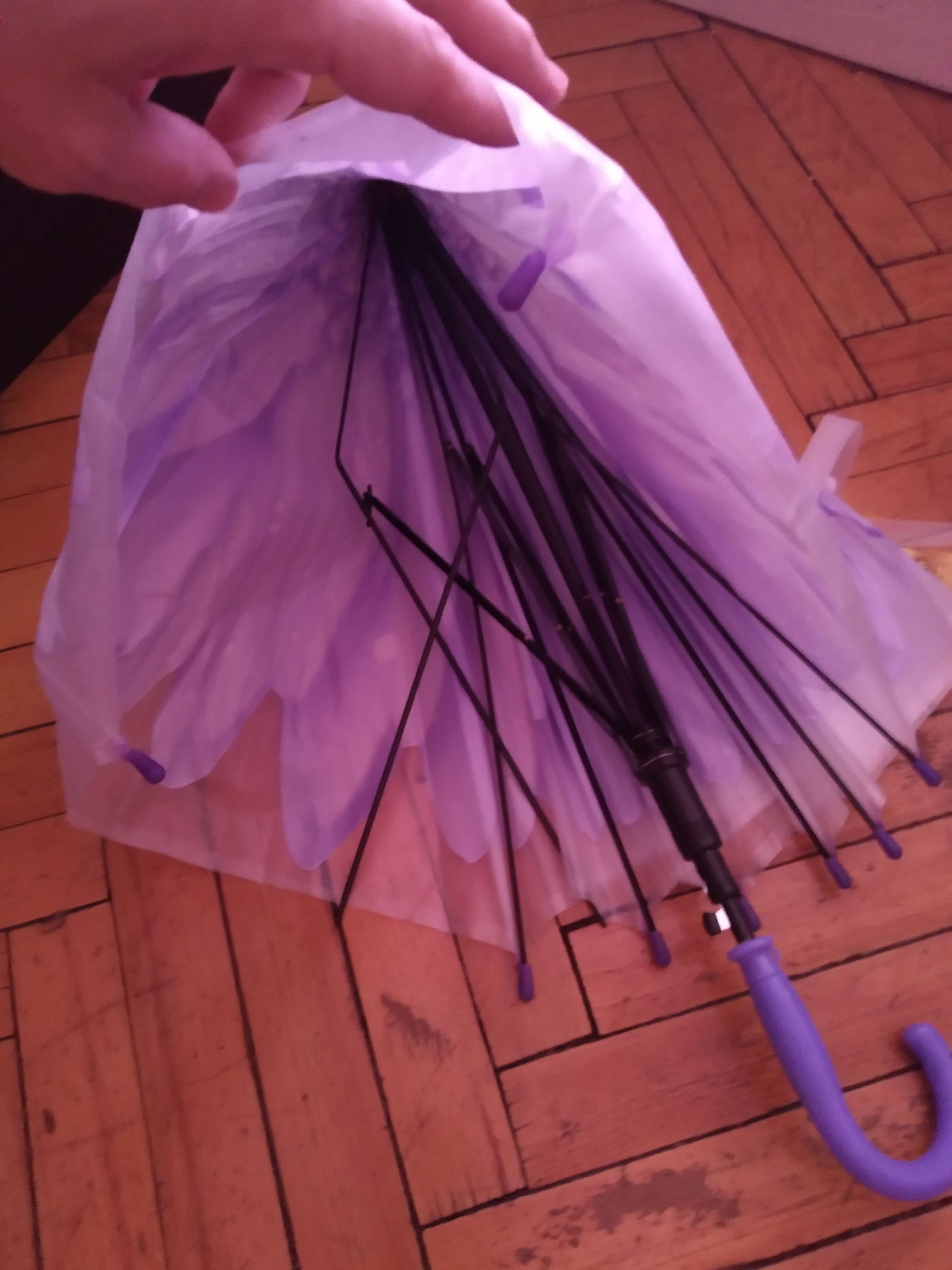 Фотография покупателя товара Зонт-трость «Гербера», полуавтоматический, со свистком, R=41см, цвет фиолетовый - Фото 1
