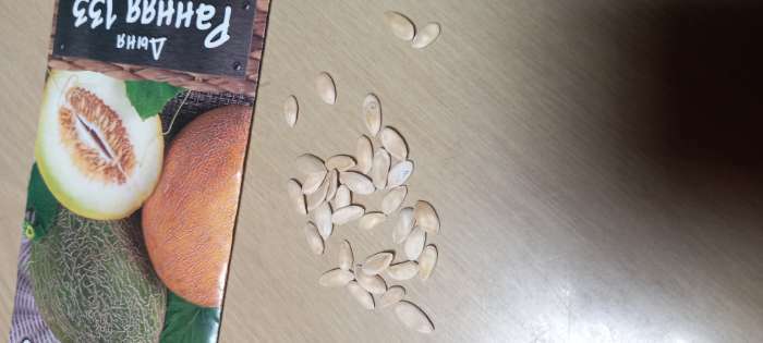 Фотография покупателя товара Семена Дыня "Ранняя 133", 1 г - Фото 1