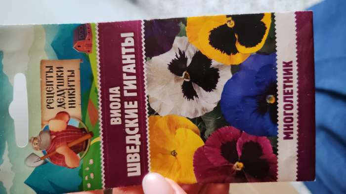 Фотография покупателя товара Семена цветов Виола "Шведские гиганты", 0,1 г