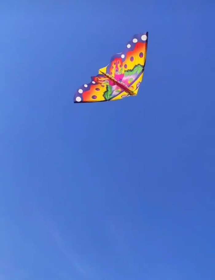 Фотография покупателя товара Воздушный змей «Цветная бабочка», с леской