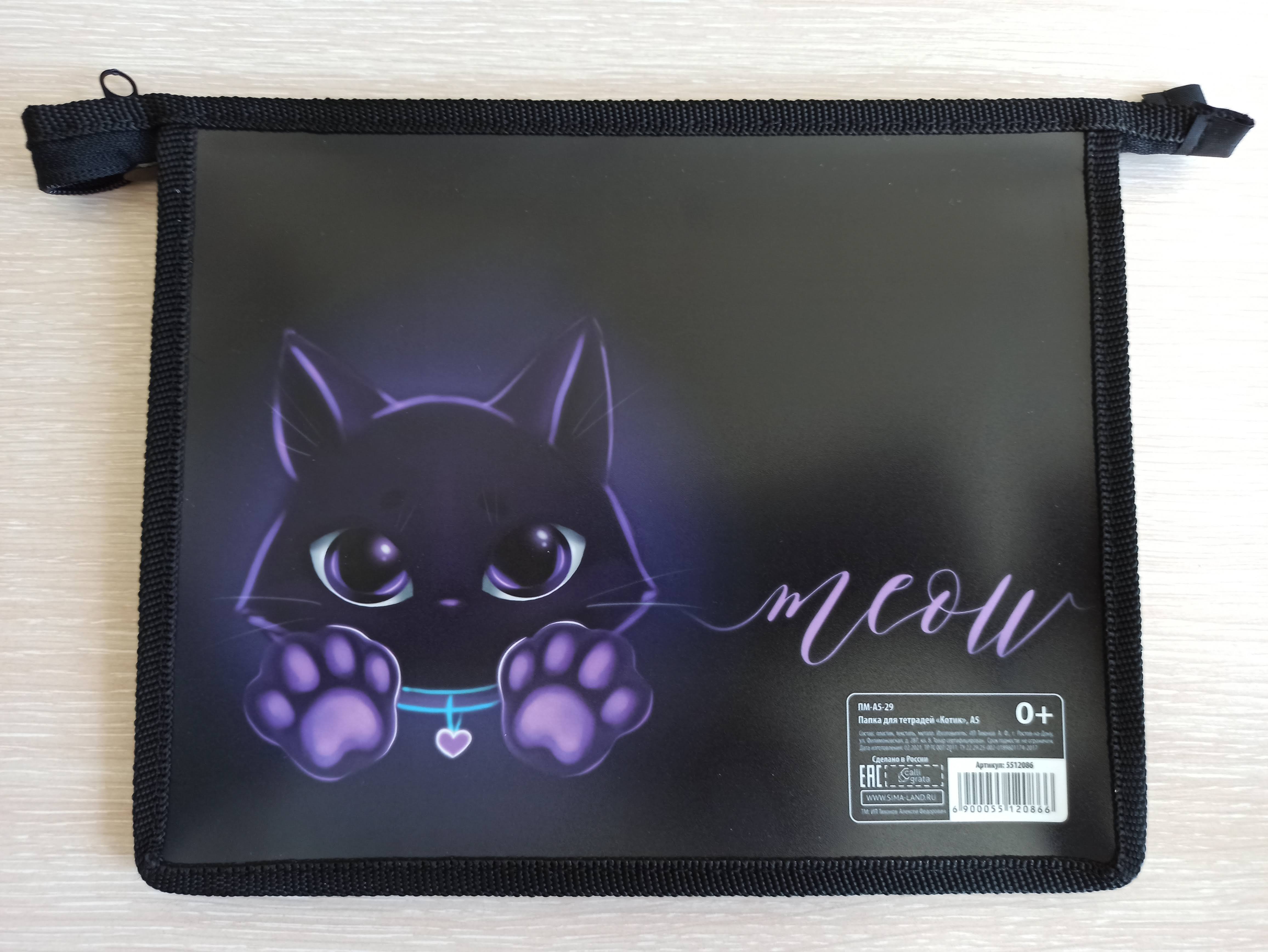 Фотография покупателя товара Папка для тетрадей, А5, пластиковая, 19×23×5 см «Котик» - Фото 3