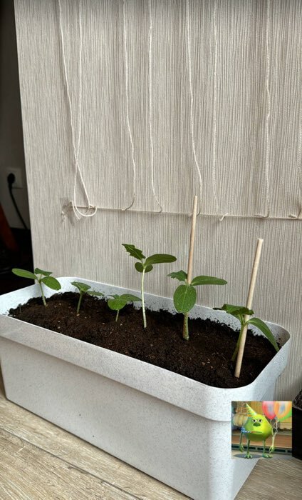 Фотография покупателя товара Ящик балконный для цветов «Эко», 8 л, 40×17×16 см, пластиковый, цвет светлый гранит - Фото 2