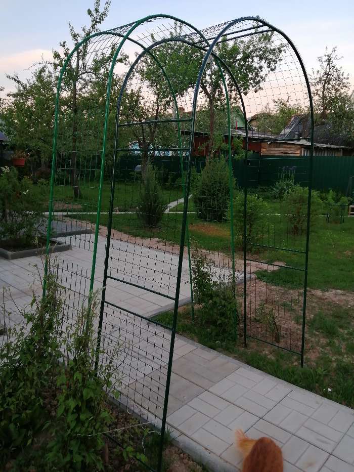 Фотография покупателя товара Арка садовая, разборная, 230 × 125 × 50 см, металл, зелёная, «Сетка», Greengo