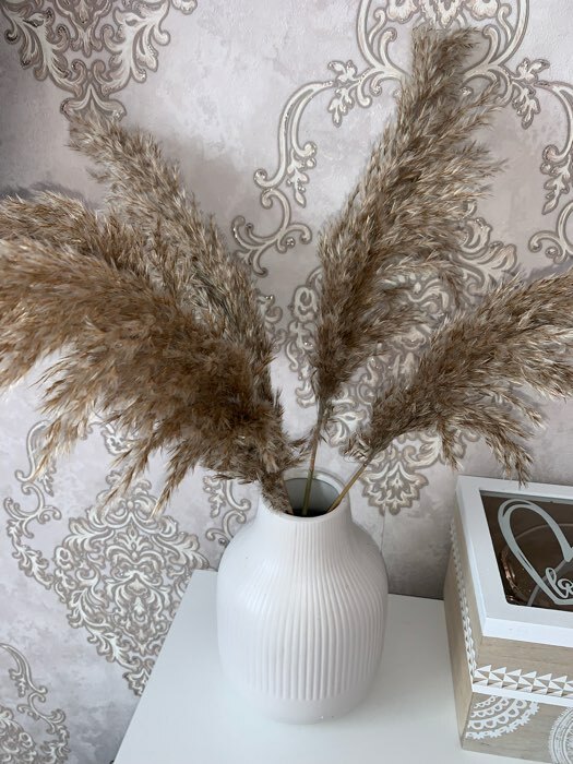 Фотография покупателя товара Сухоцветы «Камыш», h=80 см, (фасовка 5 шт., цена за 1 шт.), бежевые - Фото 8