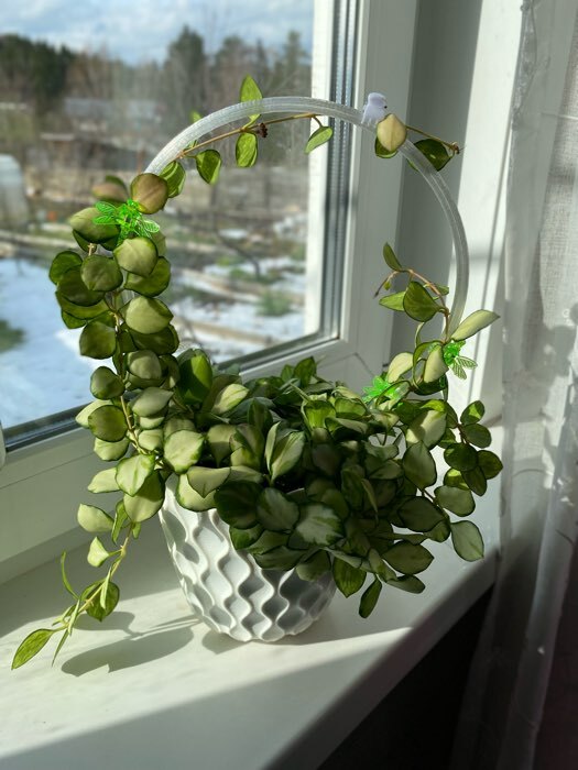 Фотография покупателя товара Горшок для цветов с поддоном «Wave», 2.5 л, d=17.5 см, серый - Фото 2