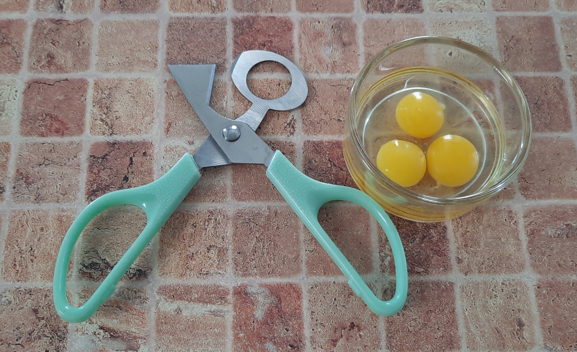 Фотография покупателя товара Ножницы для перепелиных яиц, 14 см, МИКС - Фото 1