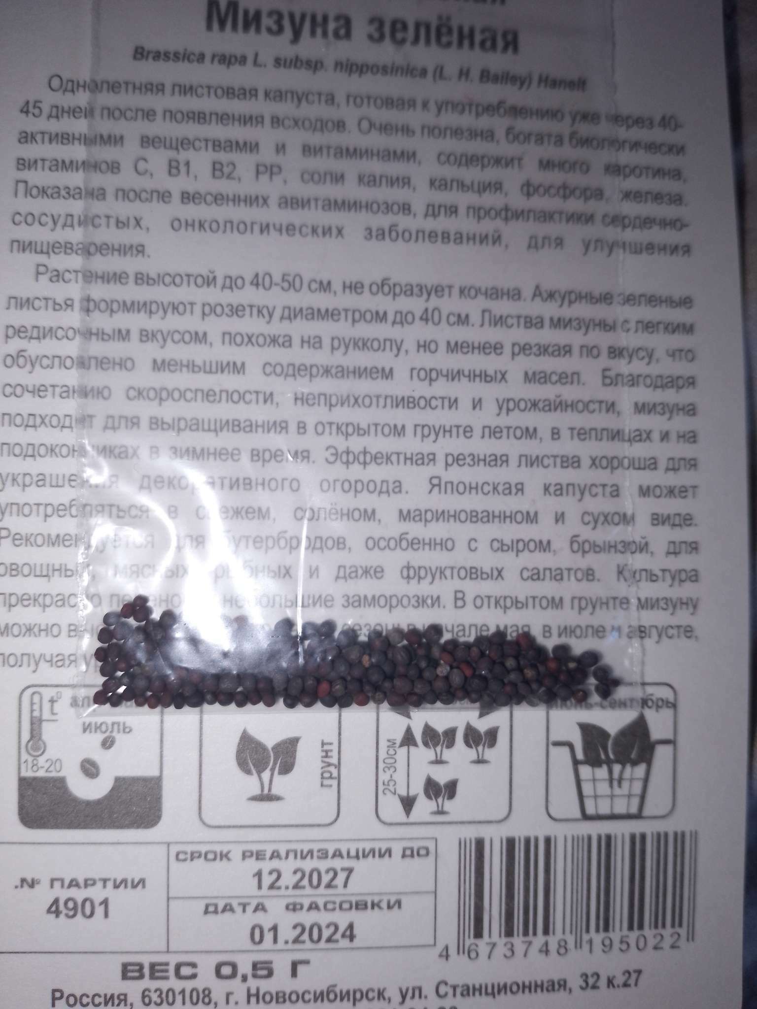 Фотография покупателя товара Семена Капуста японская "Мизуна", зеленая, 0,5 гр - Фото 1