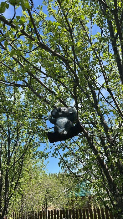 Фотография покупателя товара Подвесной декор из полистоуна «Коала на бревне», 25×15×24 см - Фото 5