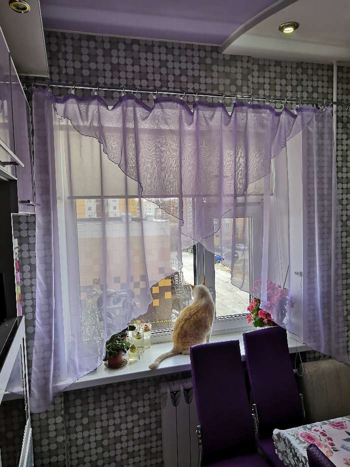 Фотография покупателя товара Комплект штор для кухни Witerra Марианна 300х160см, сирень, пэ100%