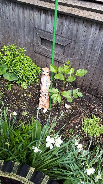 Фотография покупателя товара Садовая фигура "Сурикатов семейка" - Фото 1