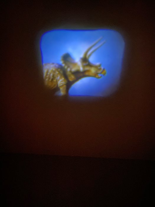 Фотография покупателя товара Проектор-фонарик «Эра динозавров», свет, цвета МИКС - Фото 1
