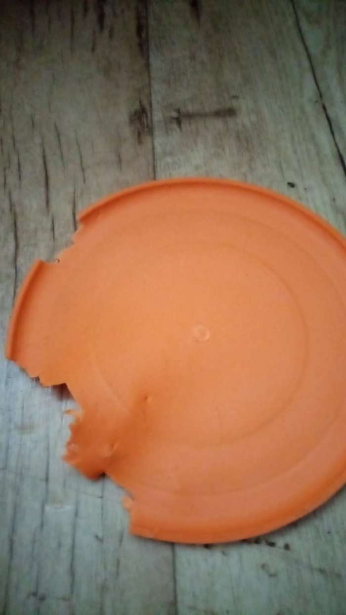 Фотография покупателя товара Фрисби, PP, 17,5 см, оранжевый - Фото 1